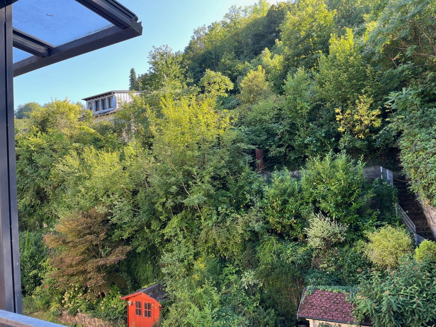 Blick auf den Exotenwald