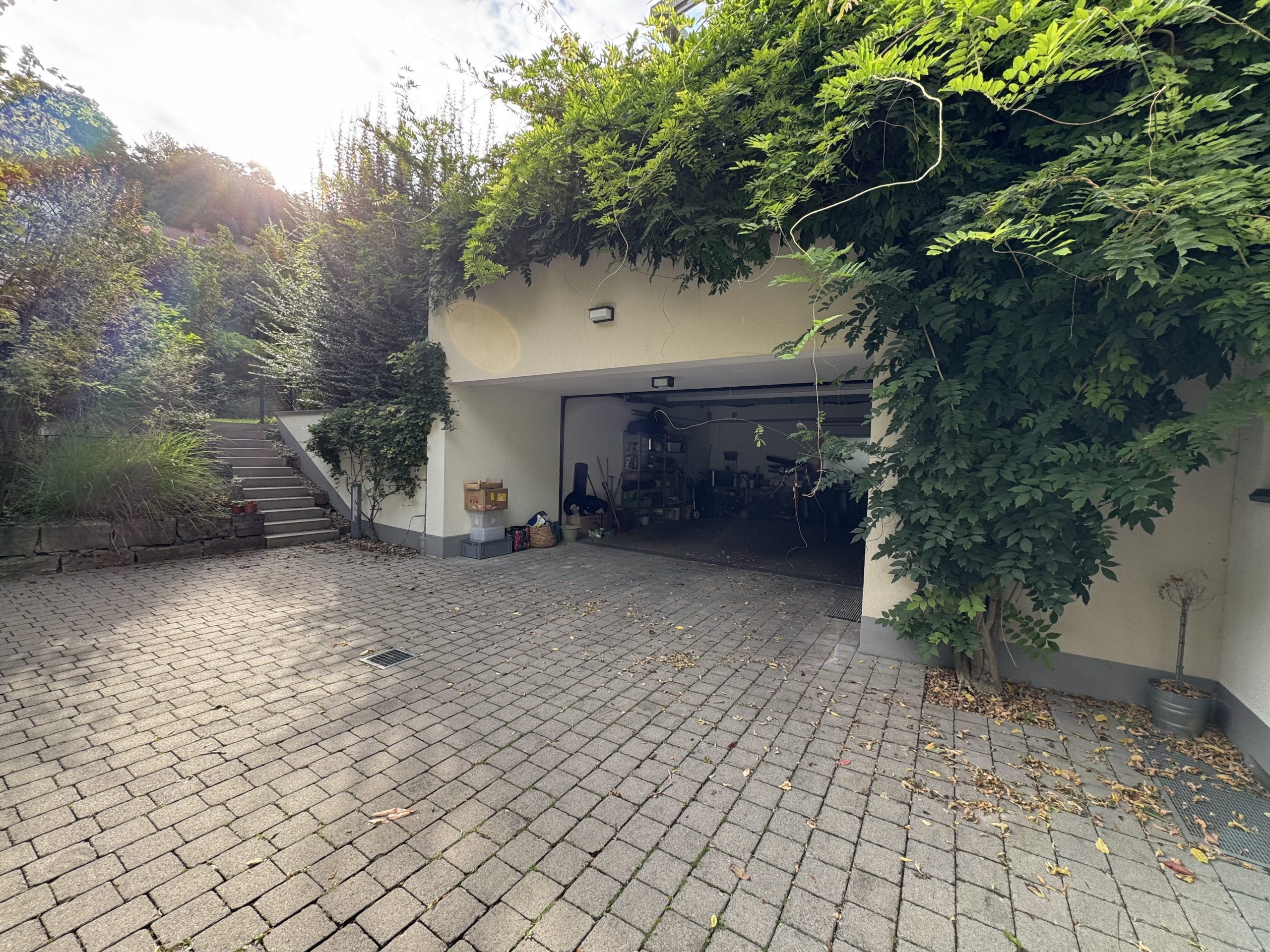 Hofeinfahrt und Garage