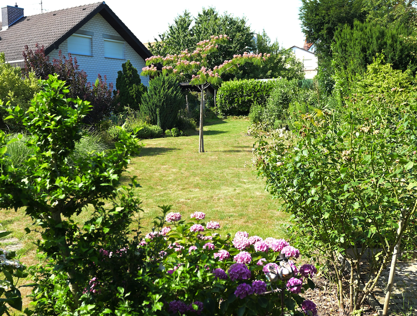 Liebevoll angelegter Garten
