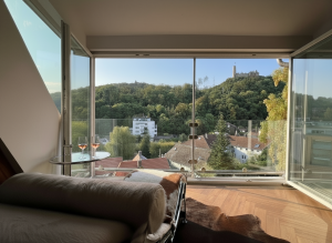 Blick aus dem Wohnzimmer