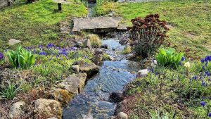 Garten mit Wasserlauf