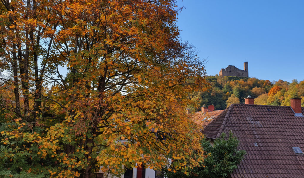 Burgenblick