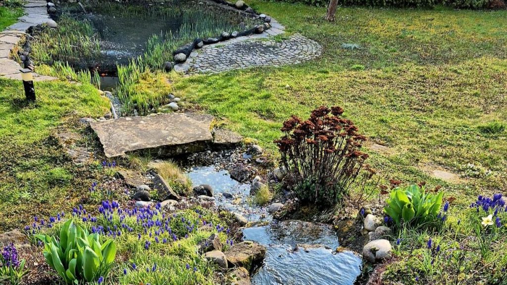 Garten mit Teich